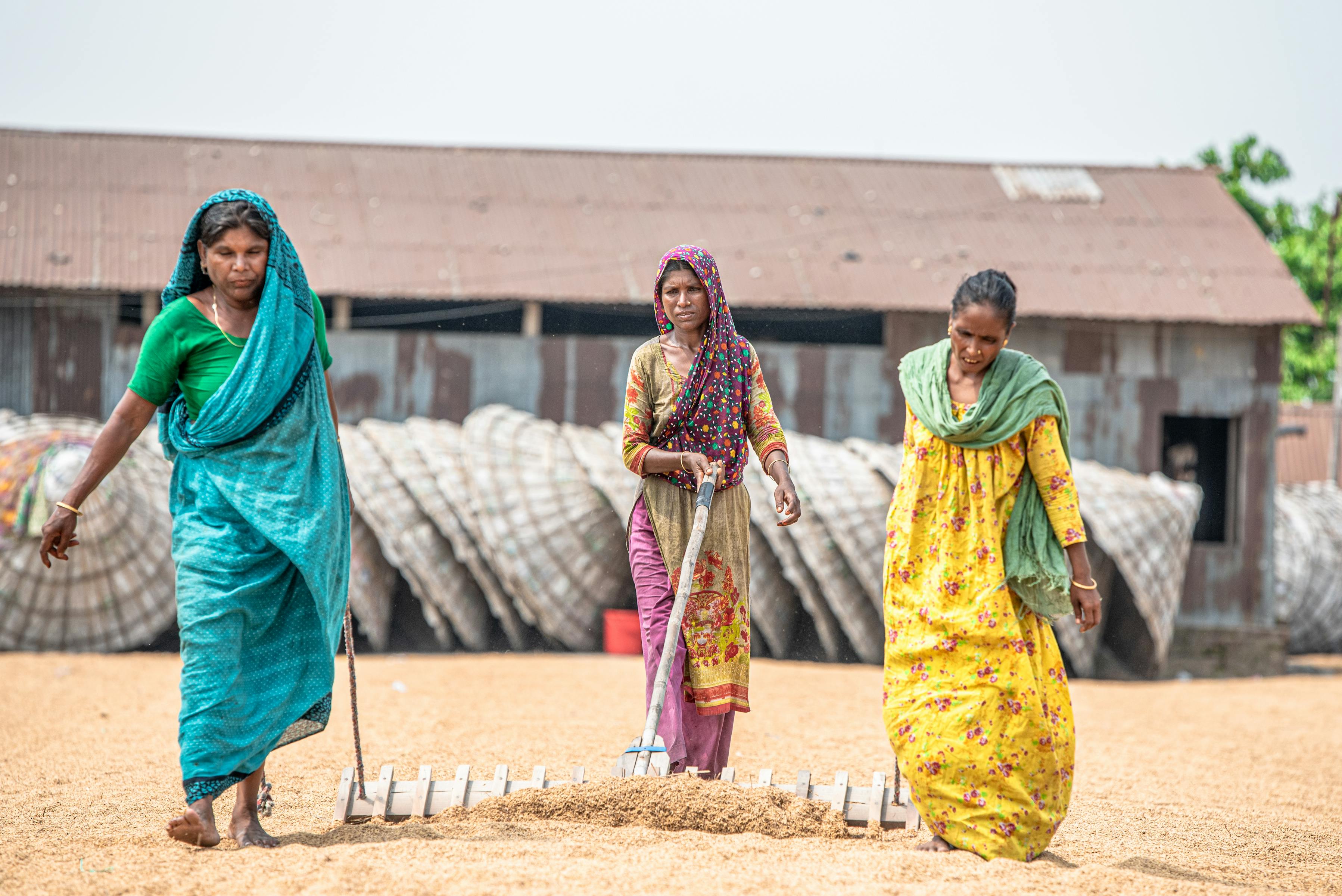 Youth, Women And Inclusive Value Chains