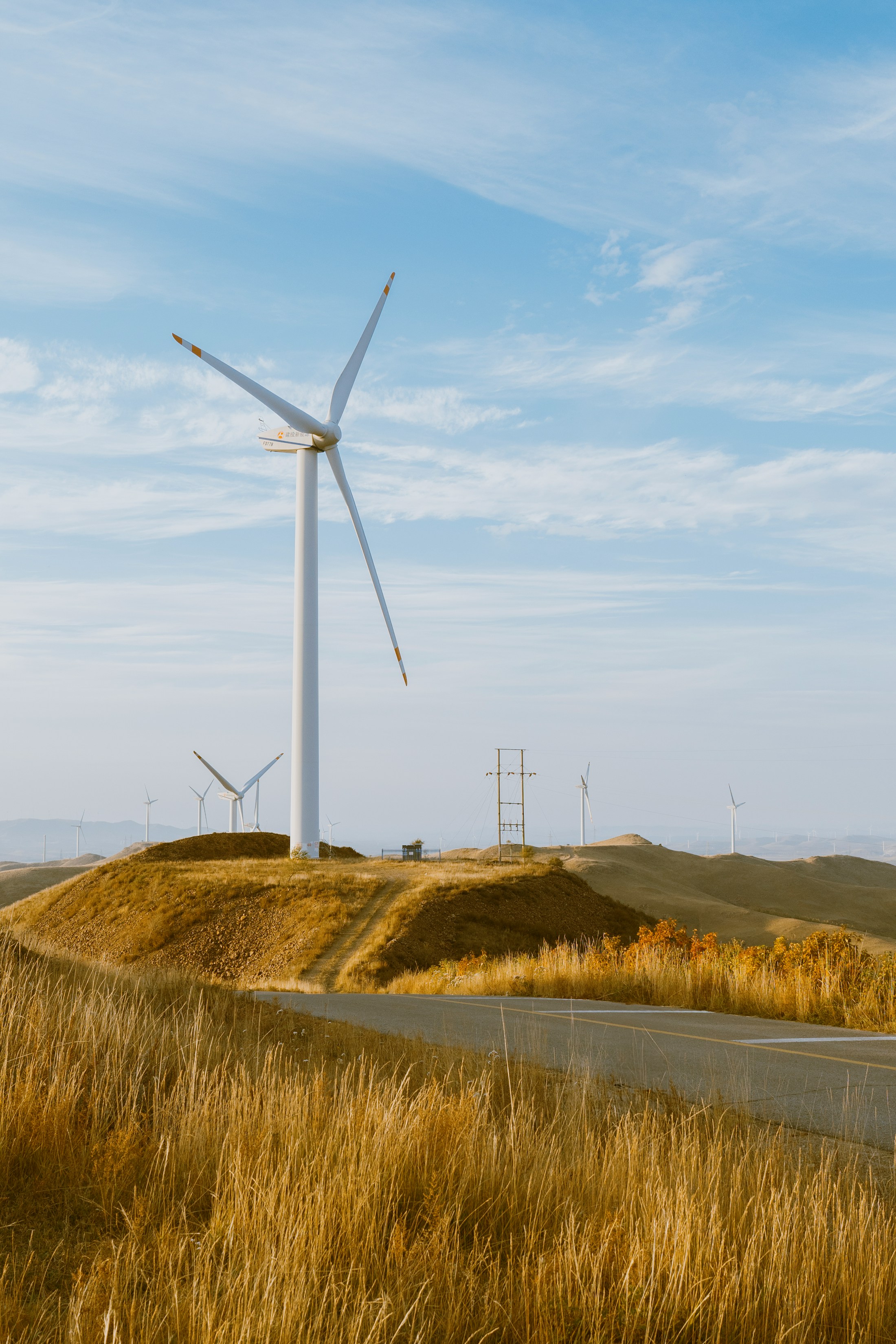 CLIMATE ACTION side supporting image